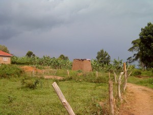 Jorome Richards Real Estate Agents in Uganda - Land in Bweyogerere